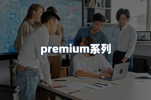 premium系列